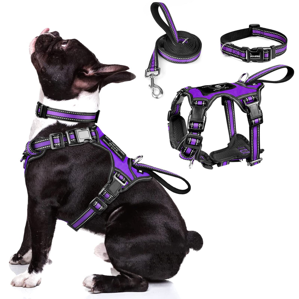 WINSEE dog harness set shown from the front in medium purple.
