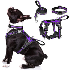 WINSEE dog harness set shown from the front in medium purple.