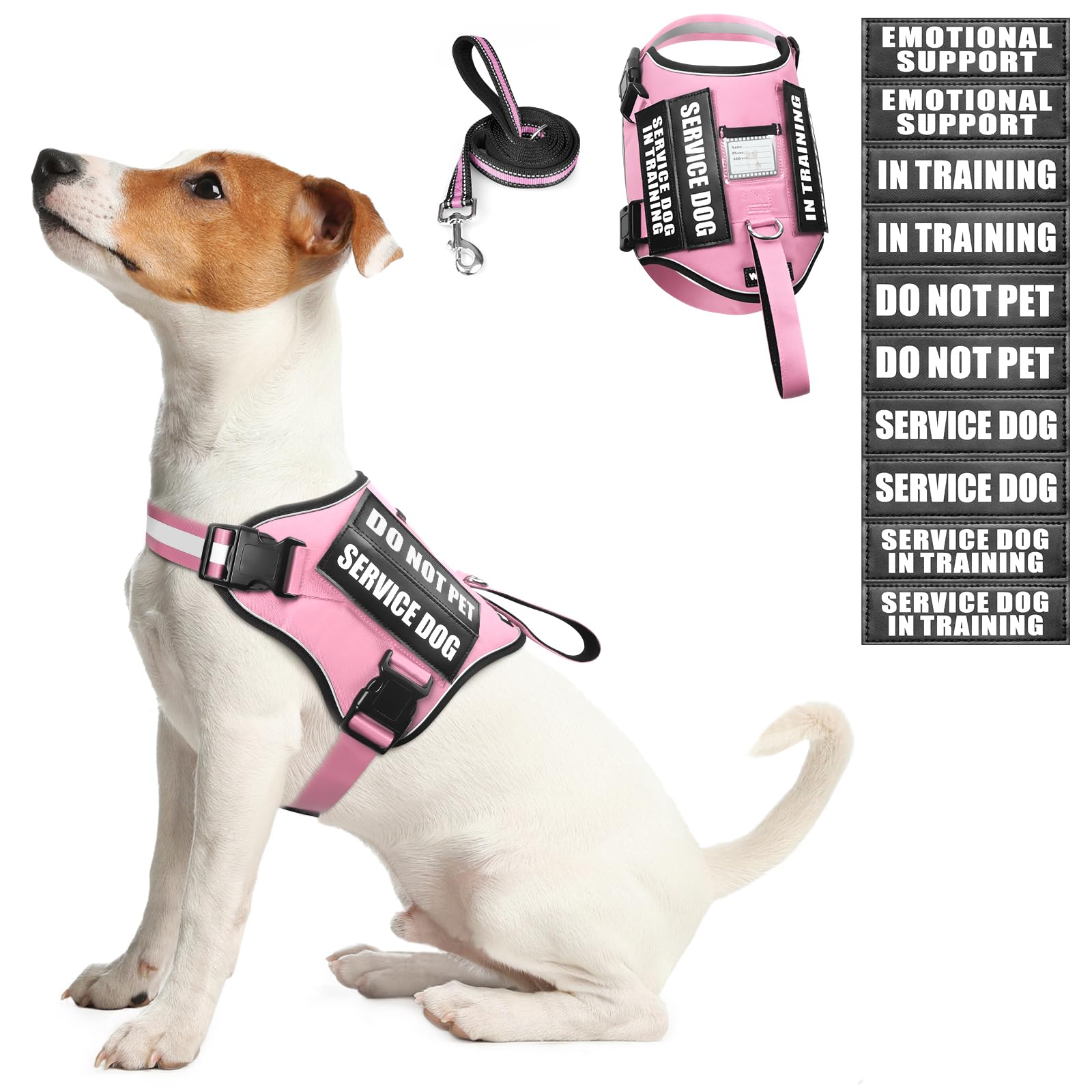 WINSEE dog harness set shown from the front in pink, size S.