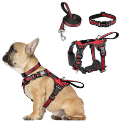 WINSEE dog harness set shown from the front with its collar and leash.