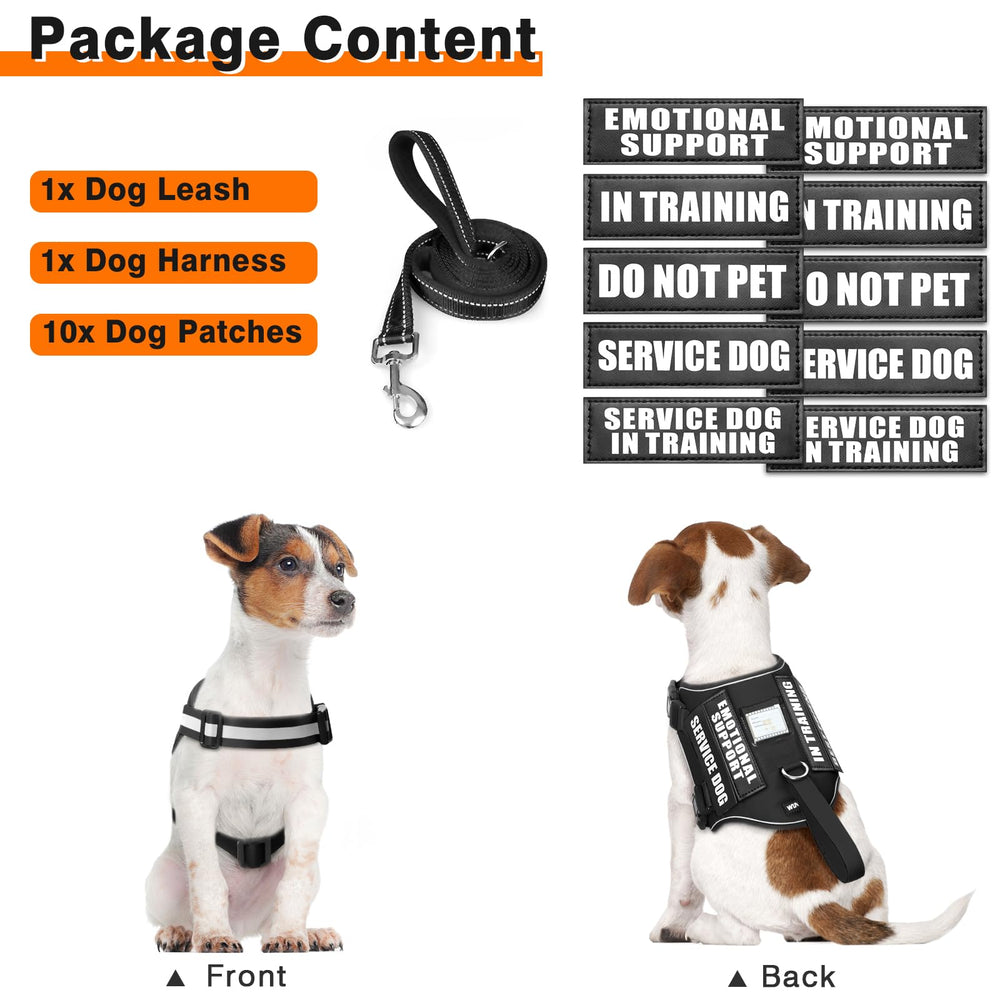 WINSEE dog harness set with its leash and selection of dog patches.