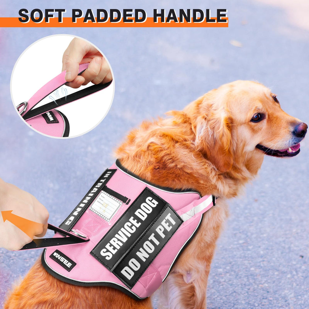WINSEE dog harness set close-up showing the breathable mesh lining.