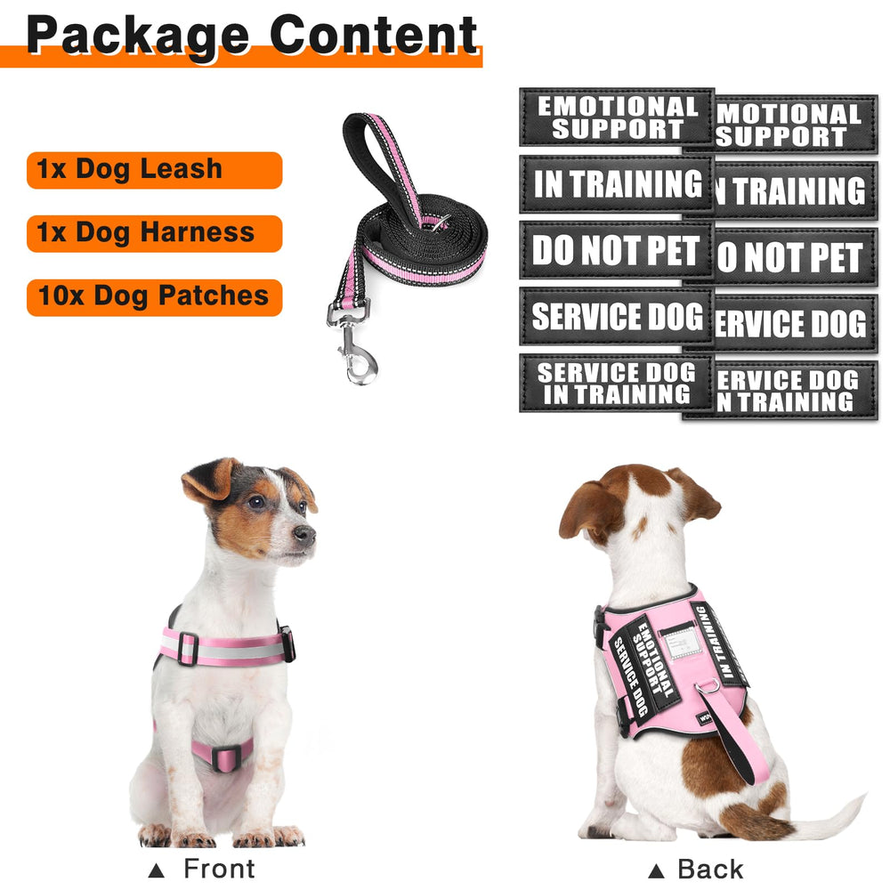 WINSEE dog harness set showing reflective details on the vest and leash.