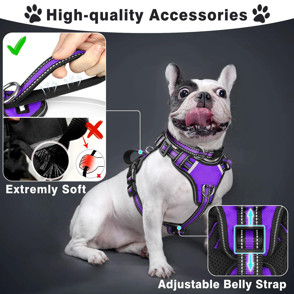 WINSEE dog harness set close-up showing reflective nylon material.