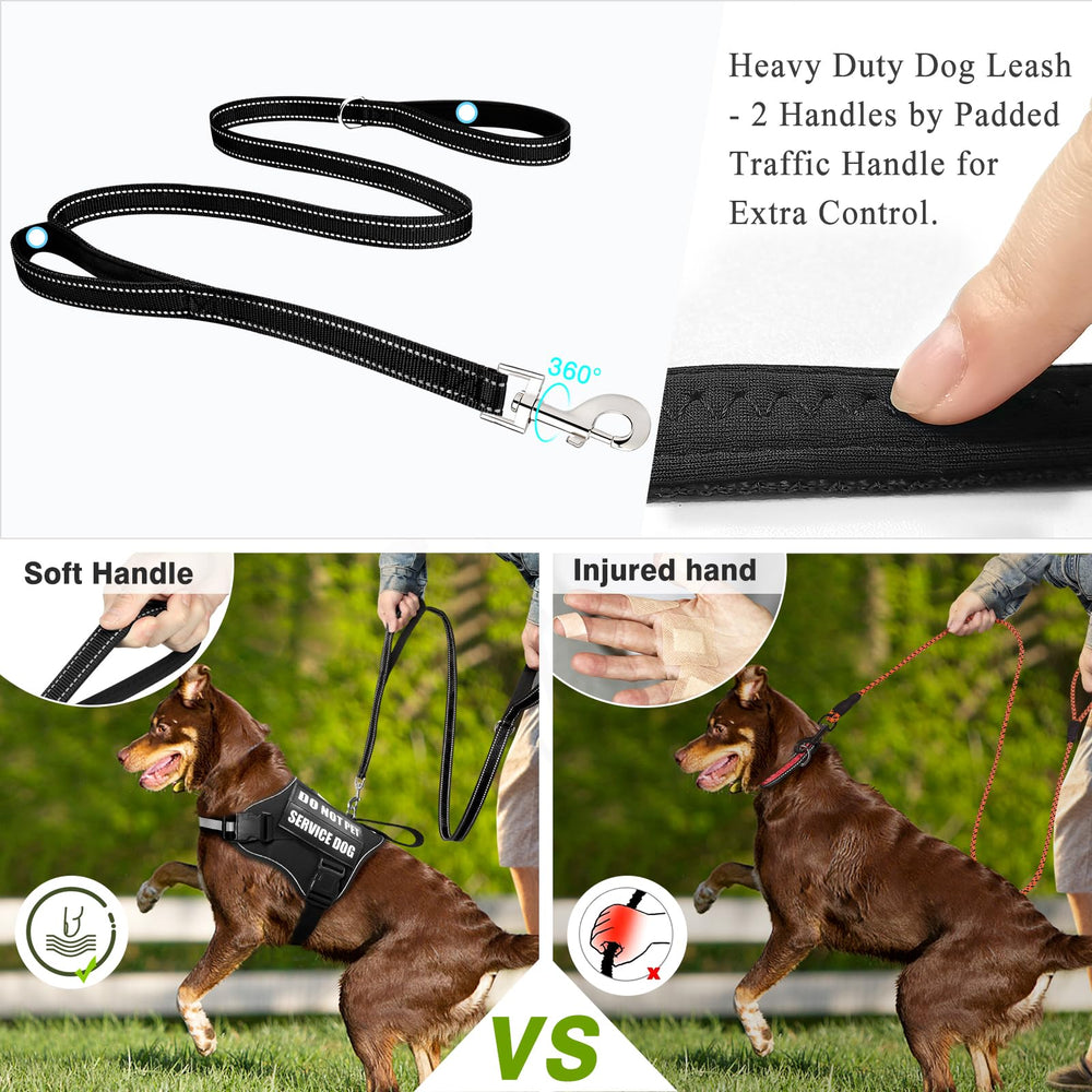 WINSEE dog harness set highlighting the reflective vest and leash.