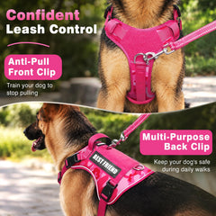 WINSEE dog harness paired with the included leash and its rotating connection.