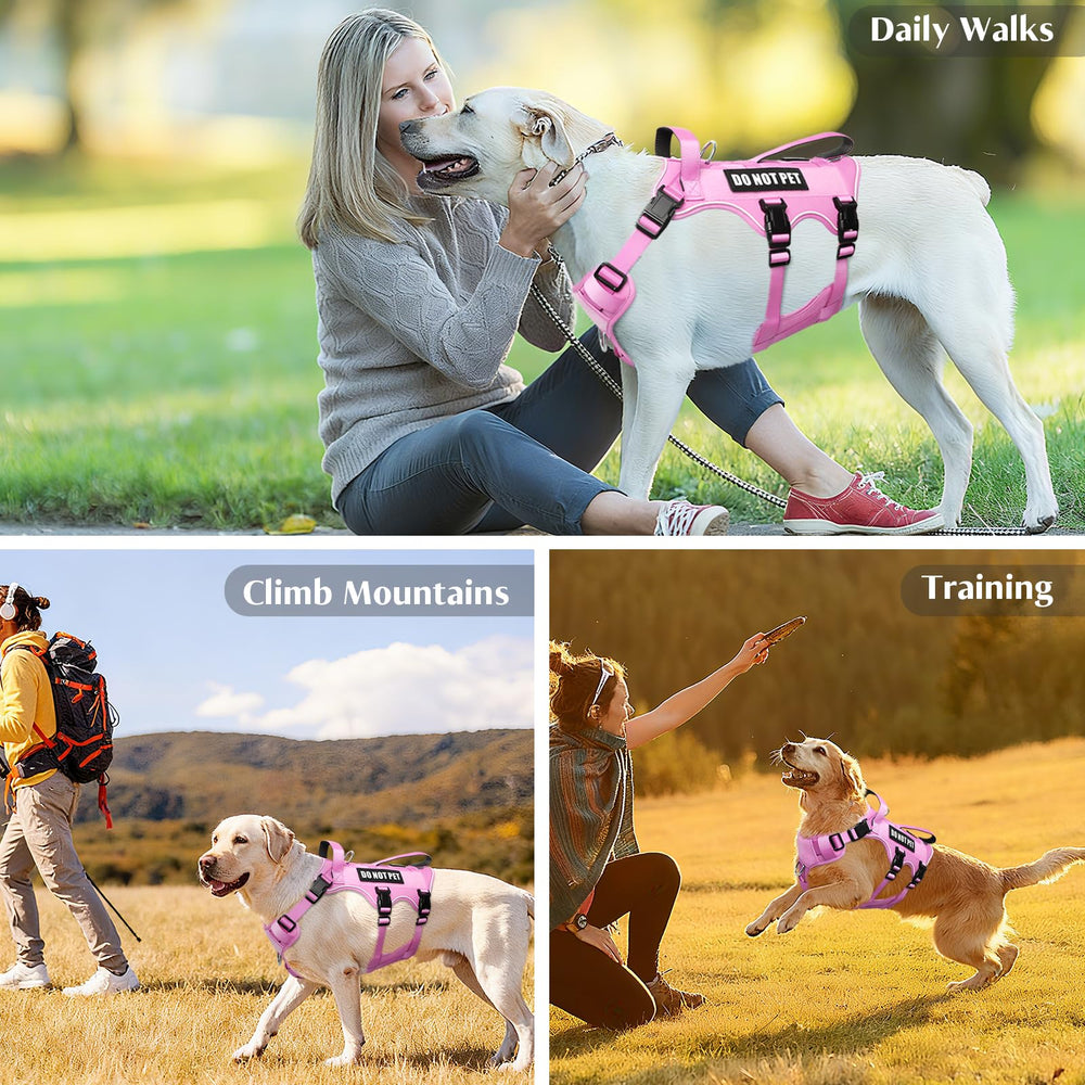 WINSEE dog harness shown during a walk, illustrating its everyday use.