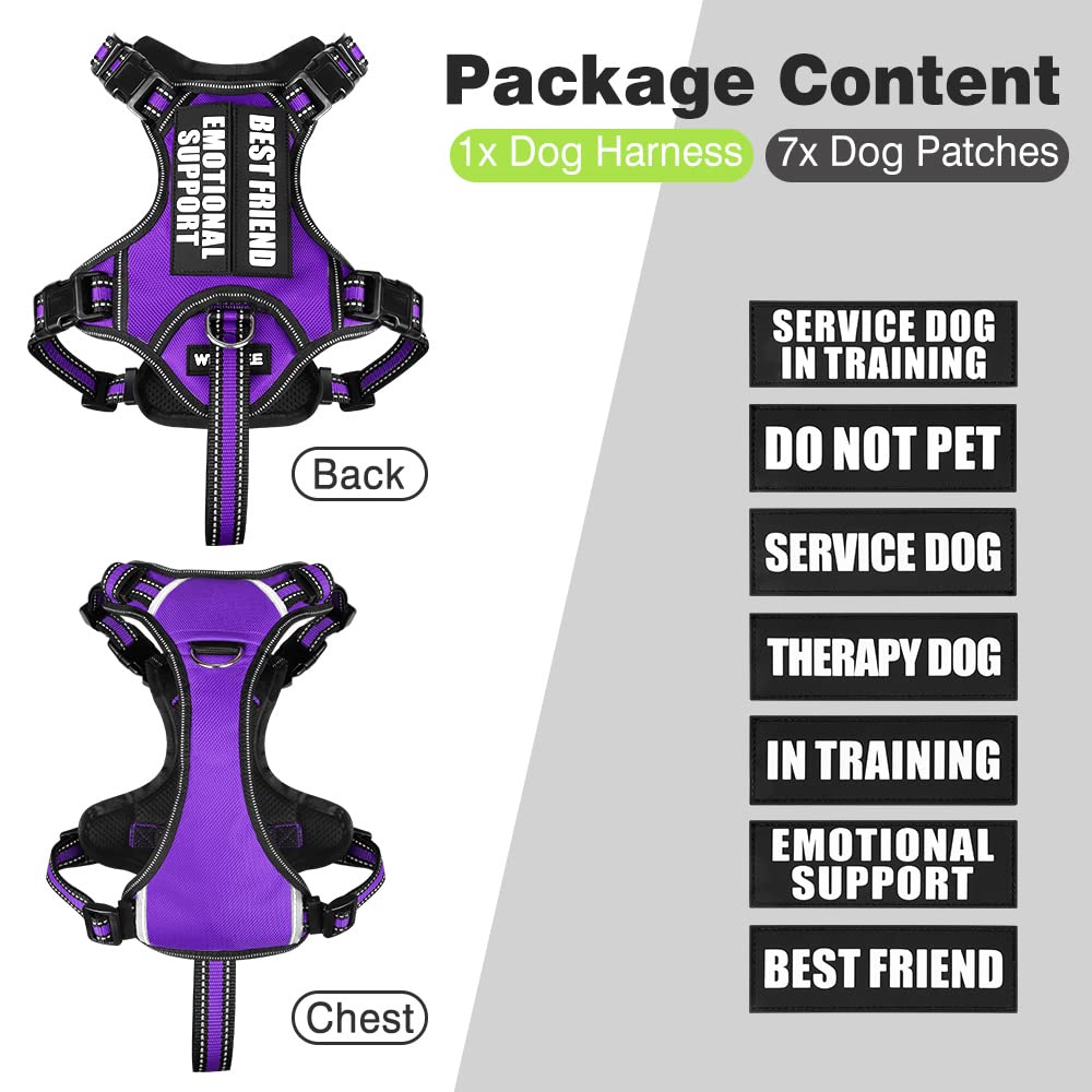 WINSEE dog harness shown on a dog during a walk.