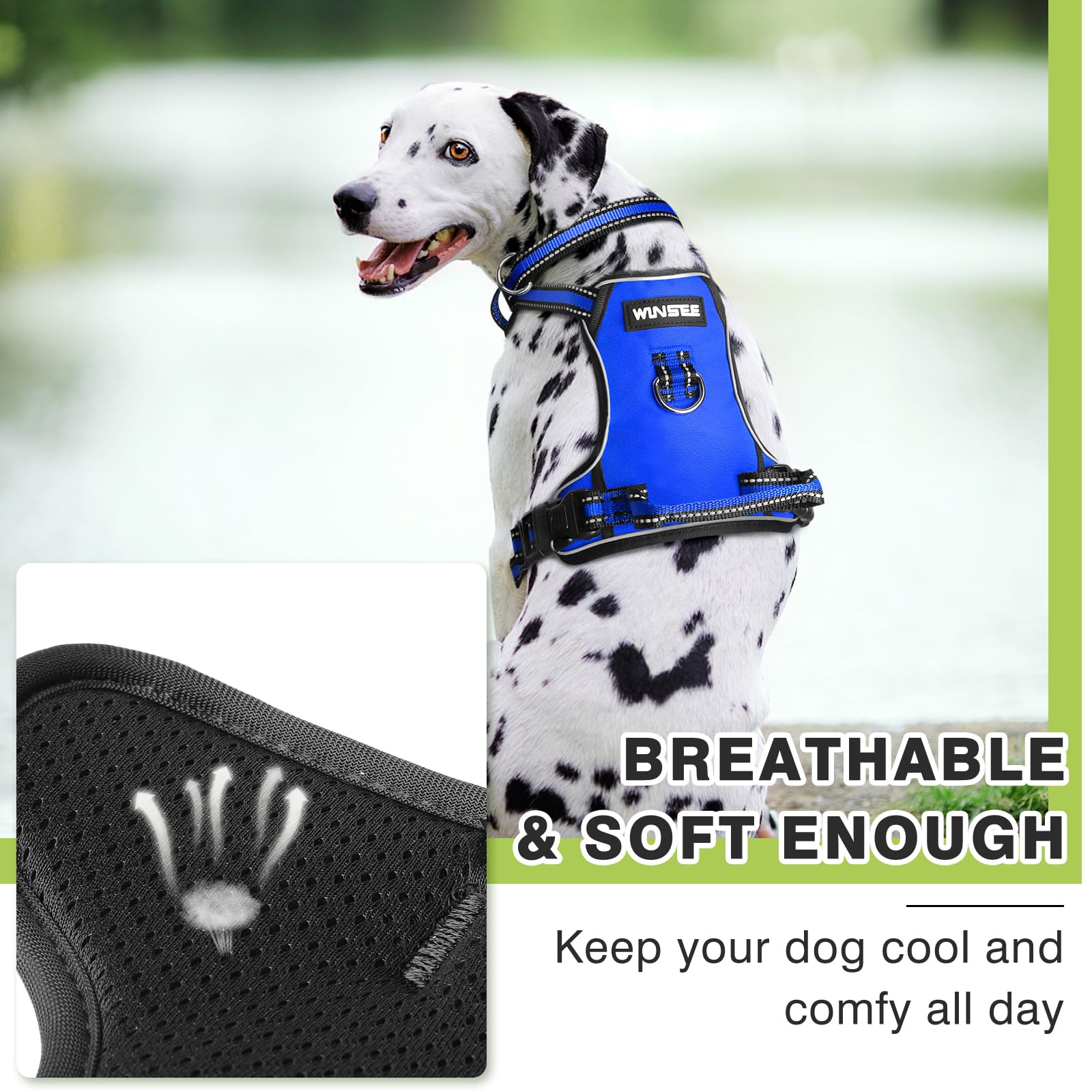 WINSEE dog harness shown with the included dog collar.