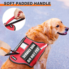 WINSEE dog harness shown fitted on a dog.