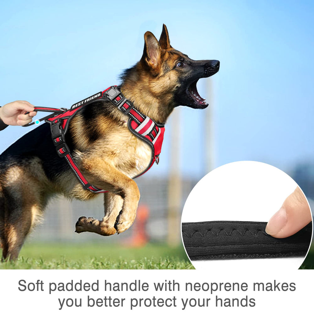 WINSEE dog harness worn by a dog during a walk.