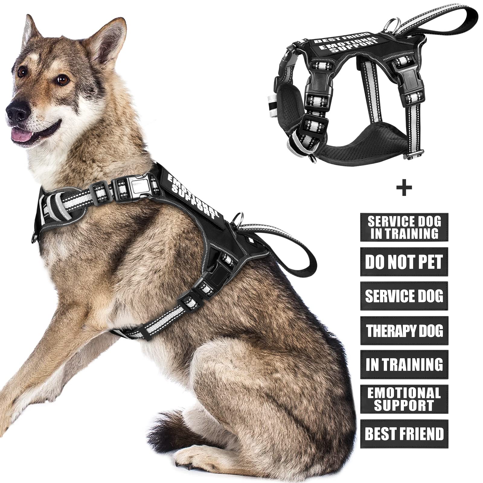 WINSEE dog vest harness shown from the front in black.