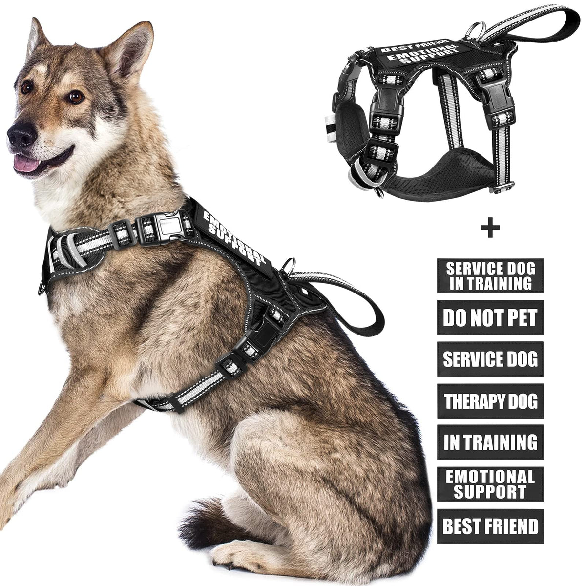 WINSEE dog vest harness shown from the front in black.