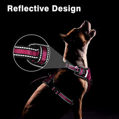 WINSEE dog vest harness highlighting its reflective nylon.