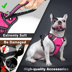 WINSEE dog vest harness with its seven sewn-letter patches.