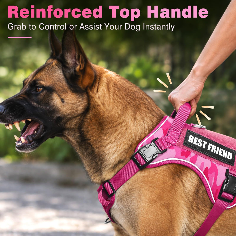 WINSEE dog harness patches showing the removable “BEST FRIEND” wording.