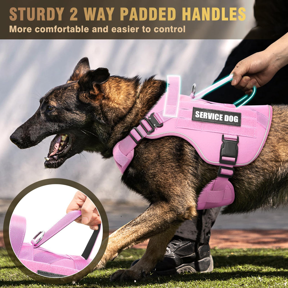 WINSEE MOLLE dog vest shown from an alternate angle.