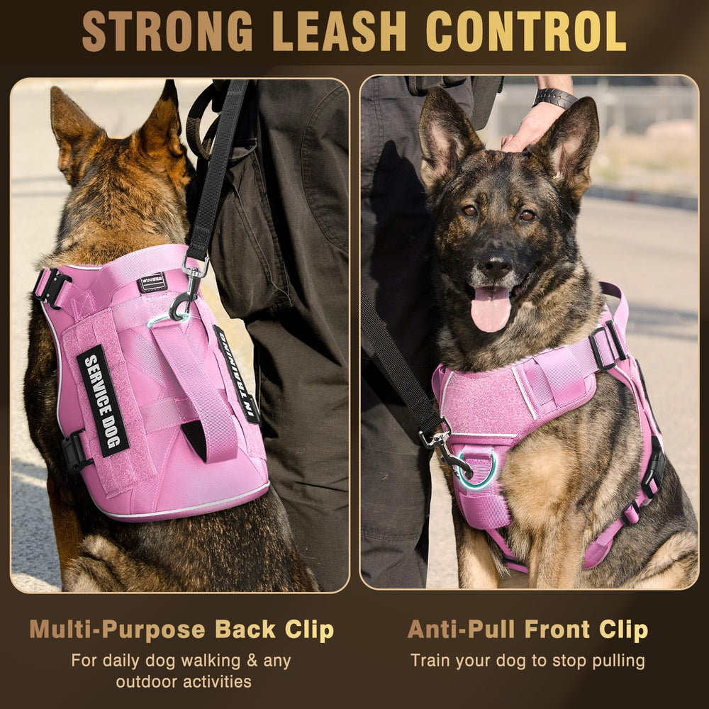 WINSEE MOLLE dog vest showing the handle on the back.