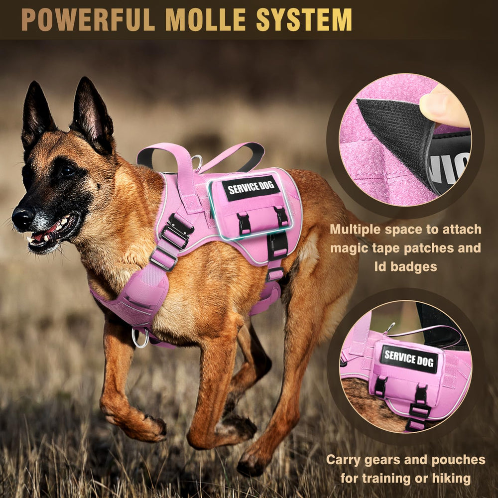 WINSEE MOLLE dog vest with the included dog patches displayed.