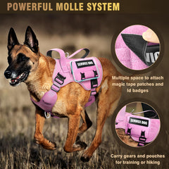 WINSEE MOLLE dog vest with the included dog patches displayed.