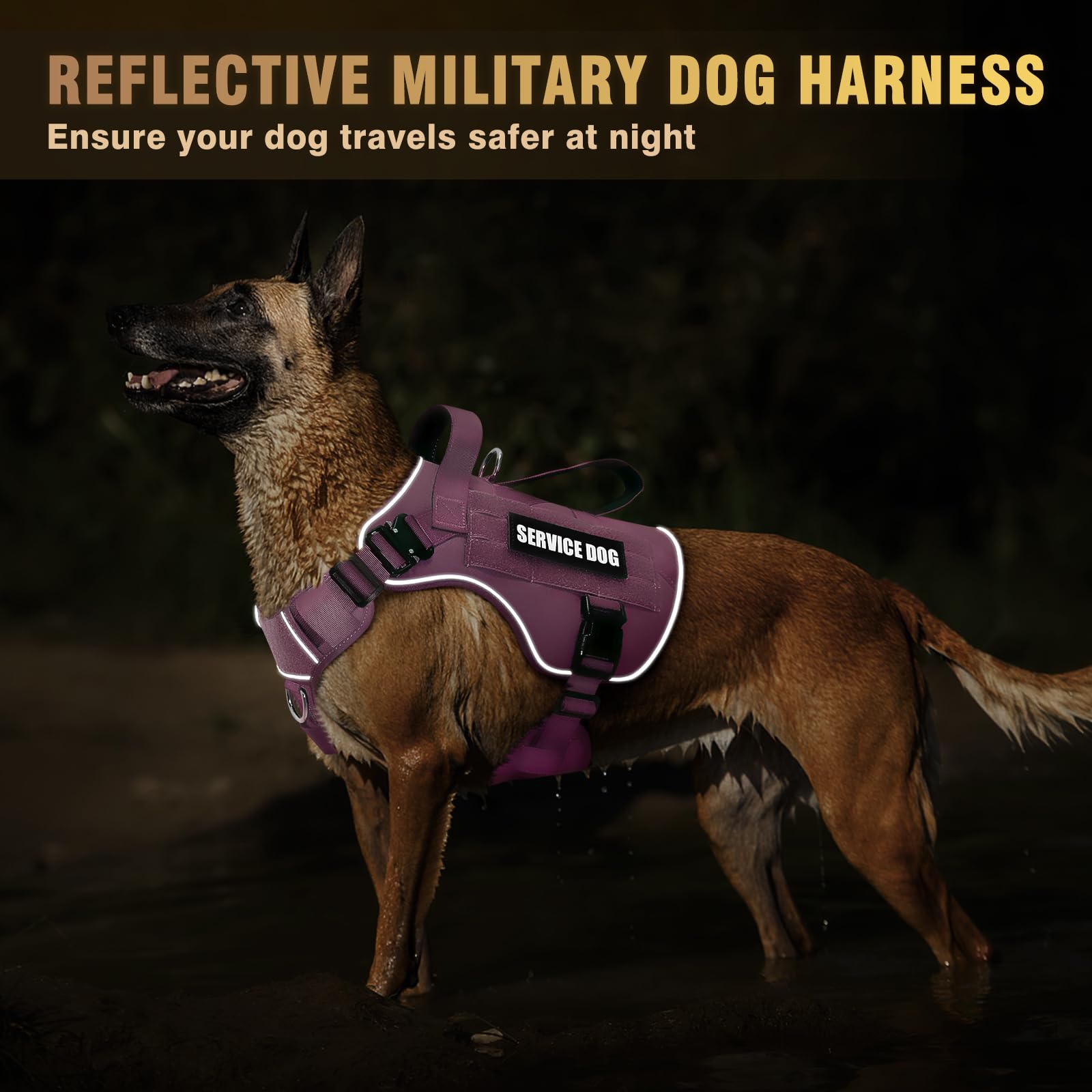 WINSEE MOLLE dog vest showing the side MOLLE panels.