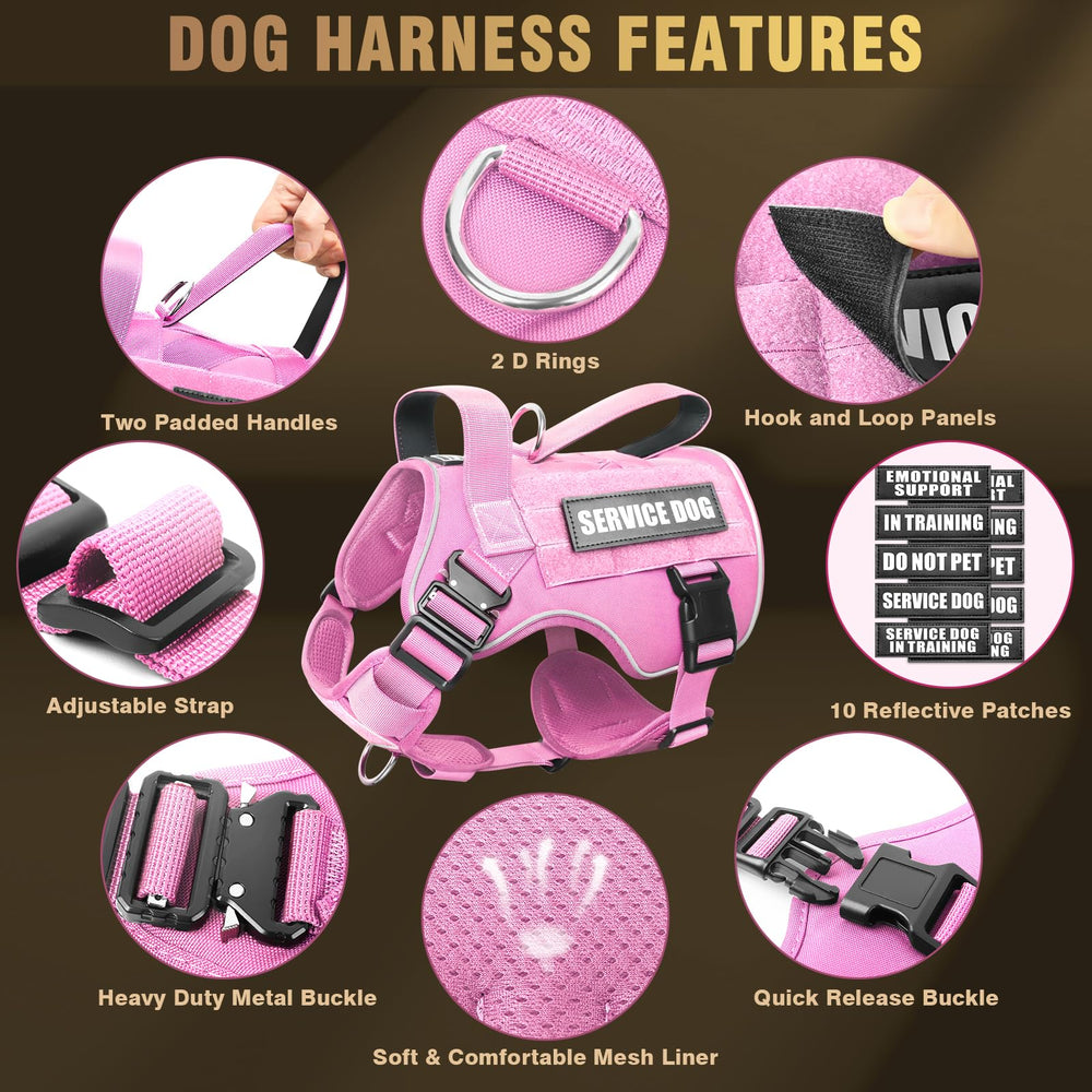 WINSEE MOLLE dog vest detail of the stainless steel leash rings.