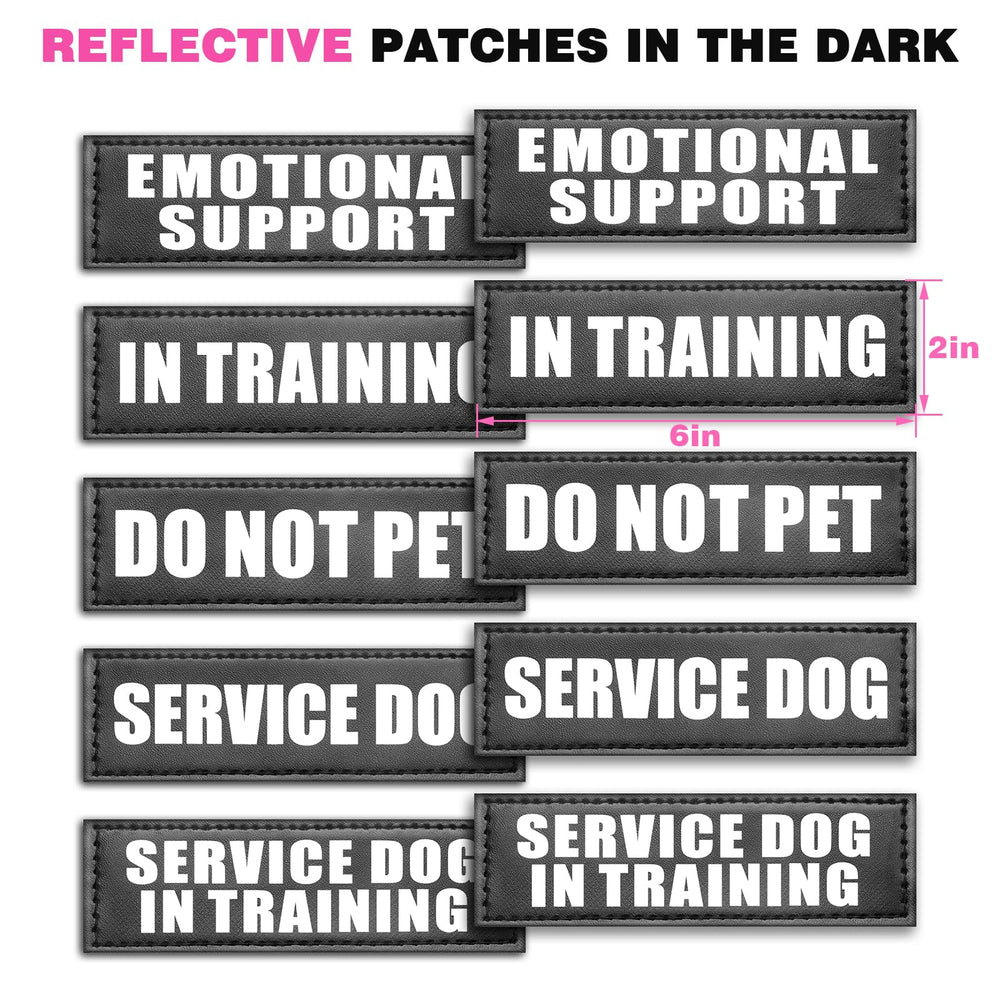 WINSEE service dog vest harness shown being worn by a dog.