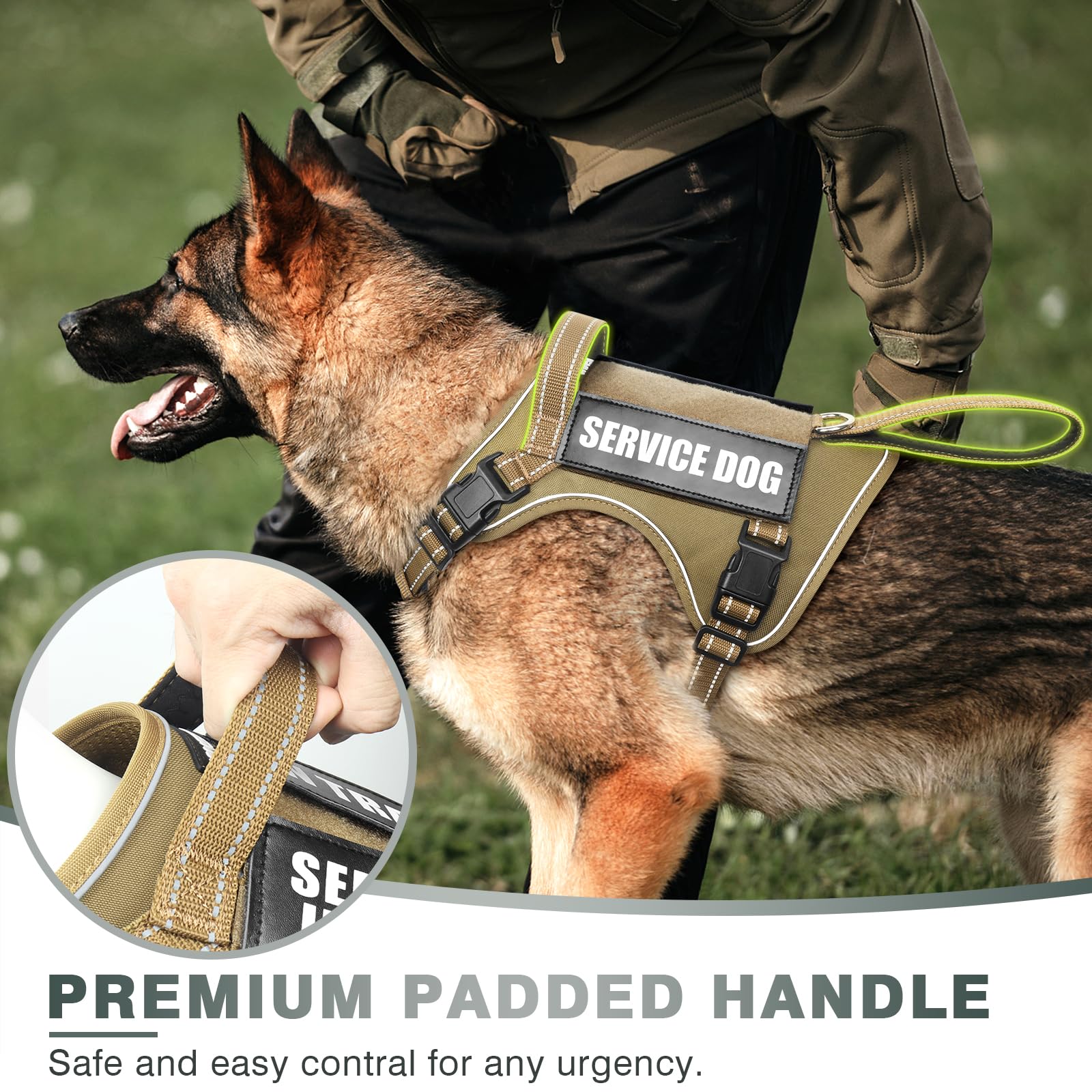 WINSEE tactical dog harness showing the back D-ring and metal buckle.