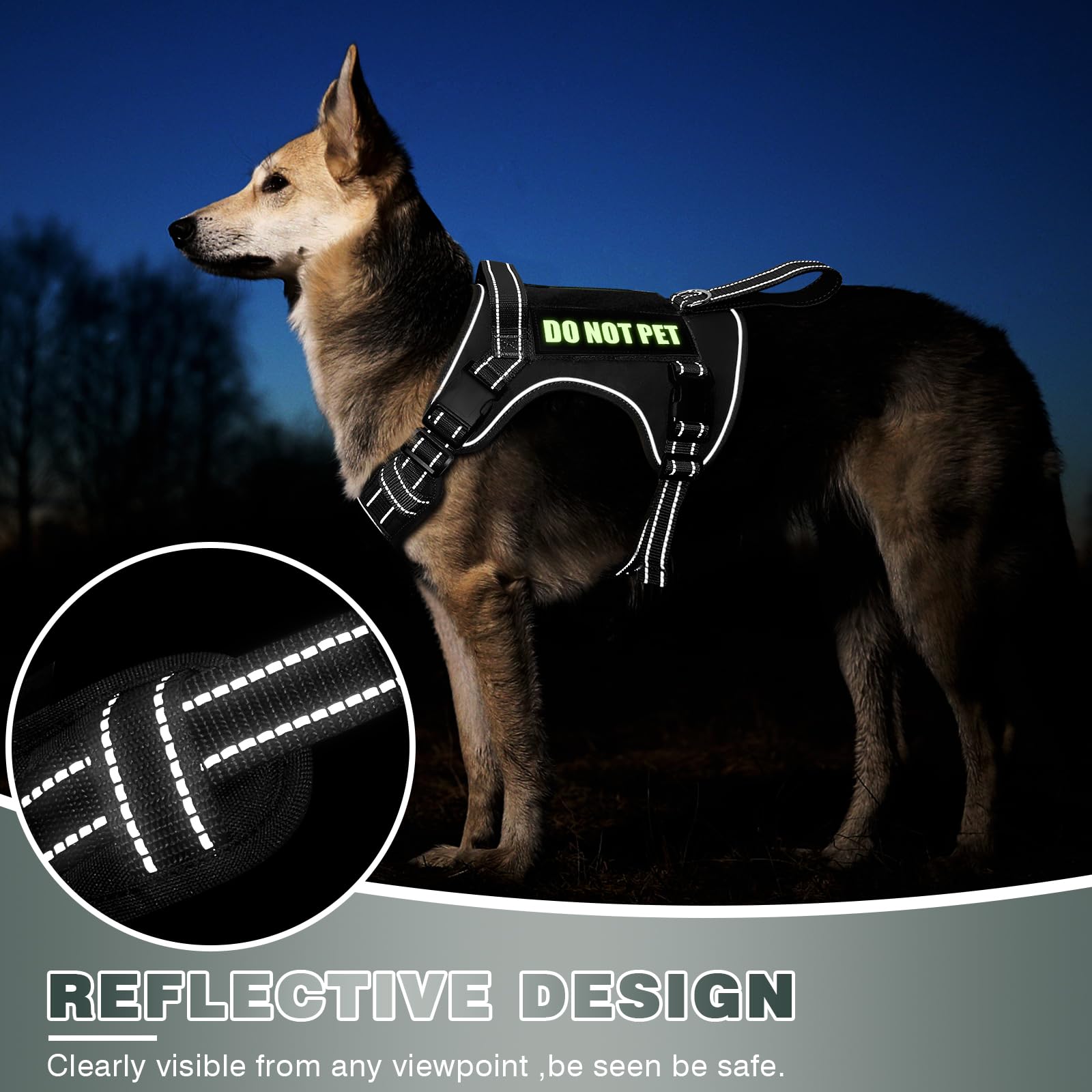 WINSEE Tactical Dog Harness front handle shown as a point for hands-on restraint.