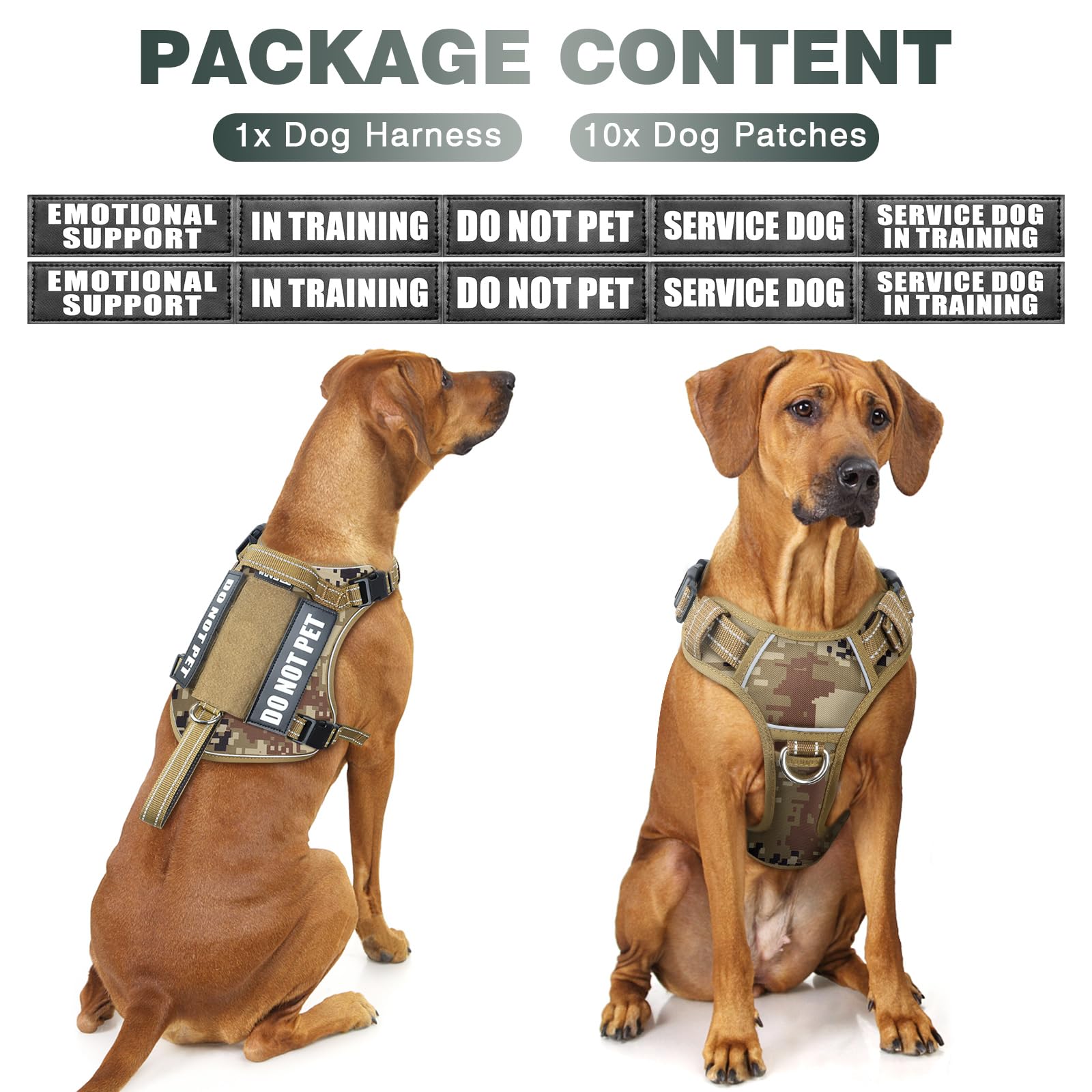 WINSEE Tactical Dog Harness close-up showing the front and back leash attachment rings.