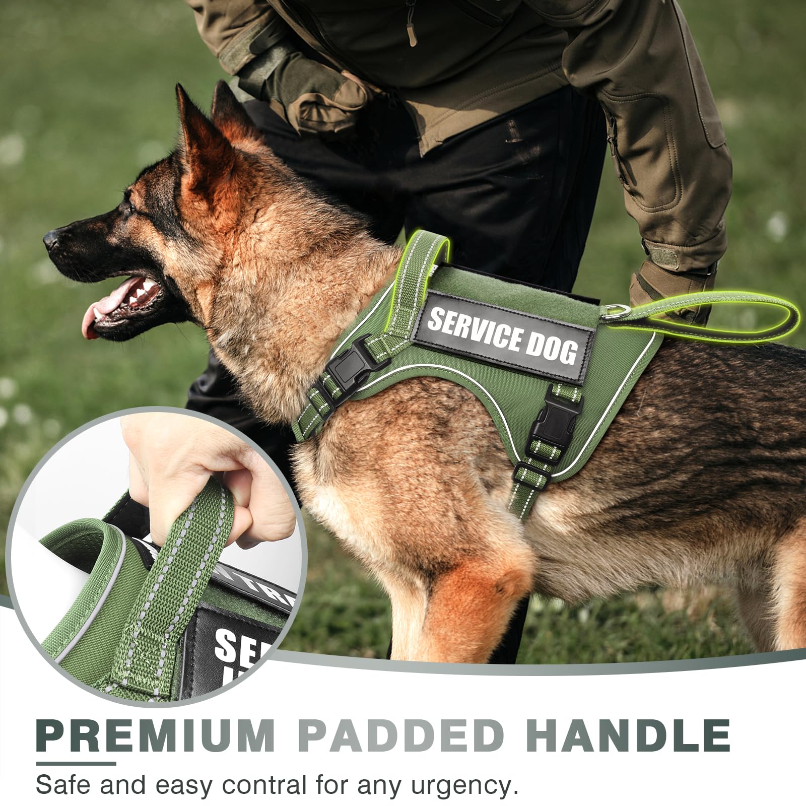 WINSEE Tactical Dog Harness close-up of its front and back leash rings.