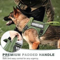 WINSEE Tactical Dog Harness close-up of its front and back leash rings.