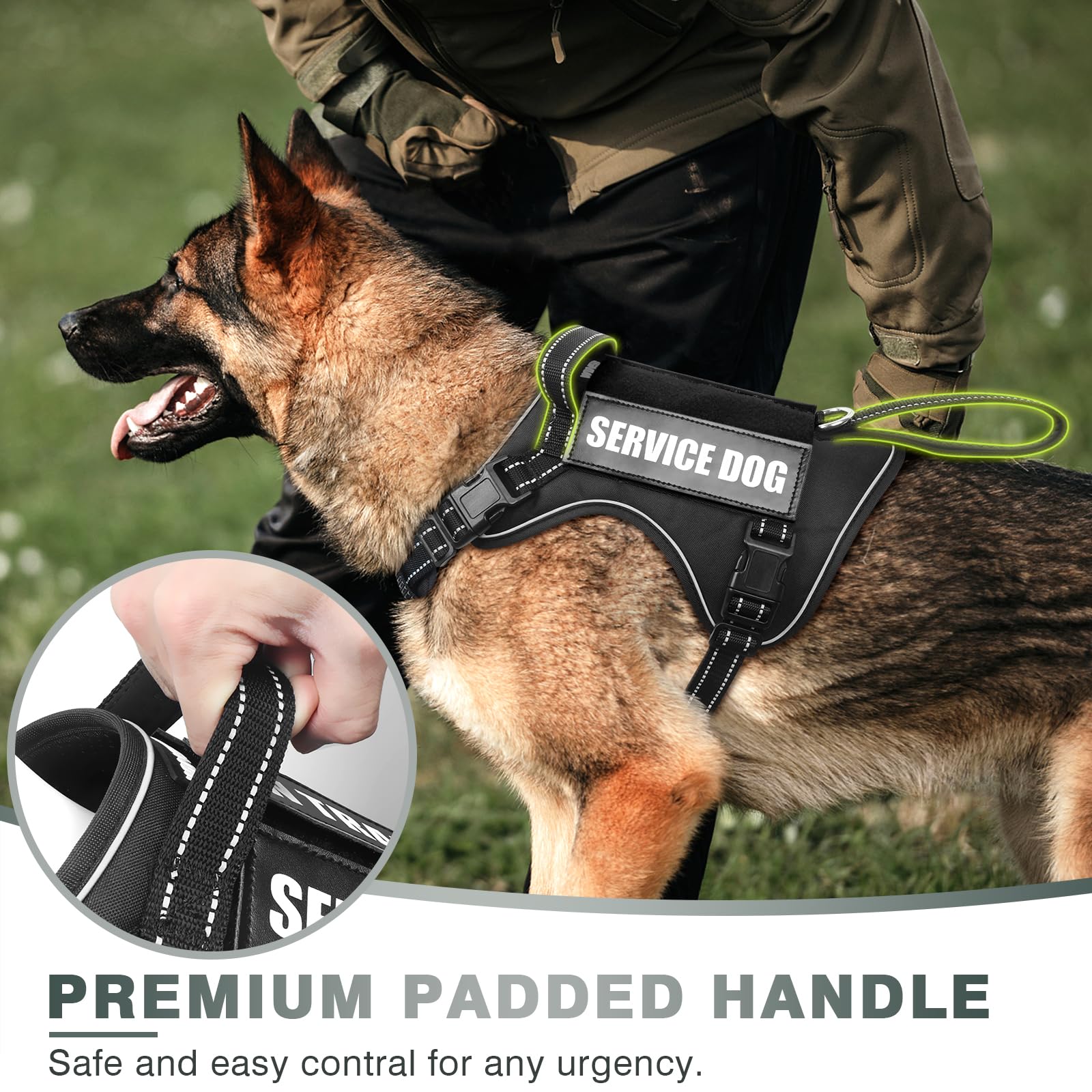 WINSEE Tactical Dog Harness close-up of the reinforced front and back leash rings.