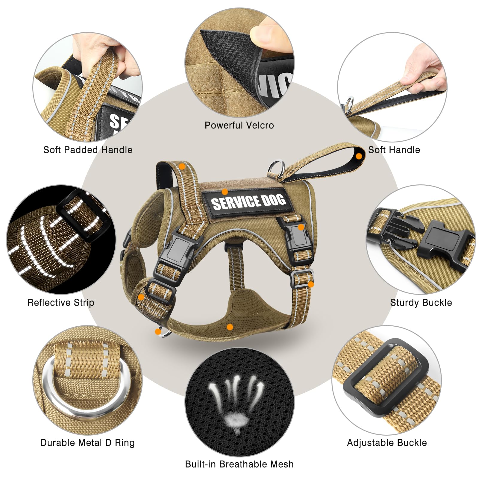 WINSEE tactical dog harness with MOLLE panels visible on the side.