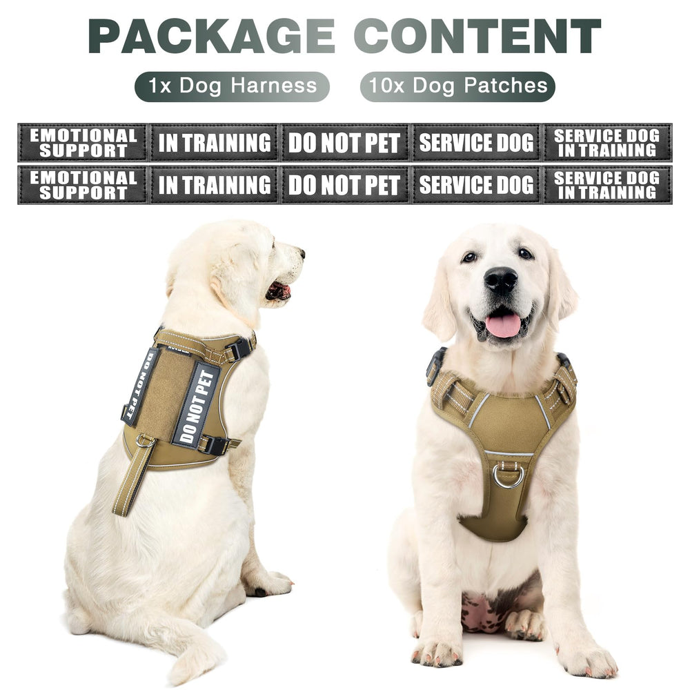 WINSEE tactical dog harness close-up showing its quick-release buckles.