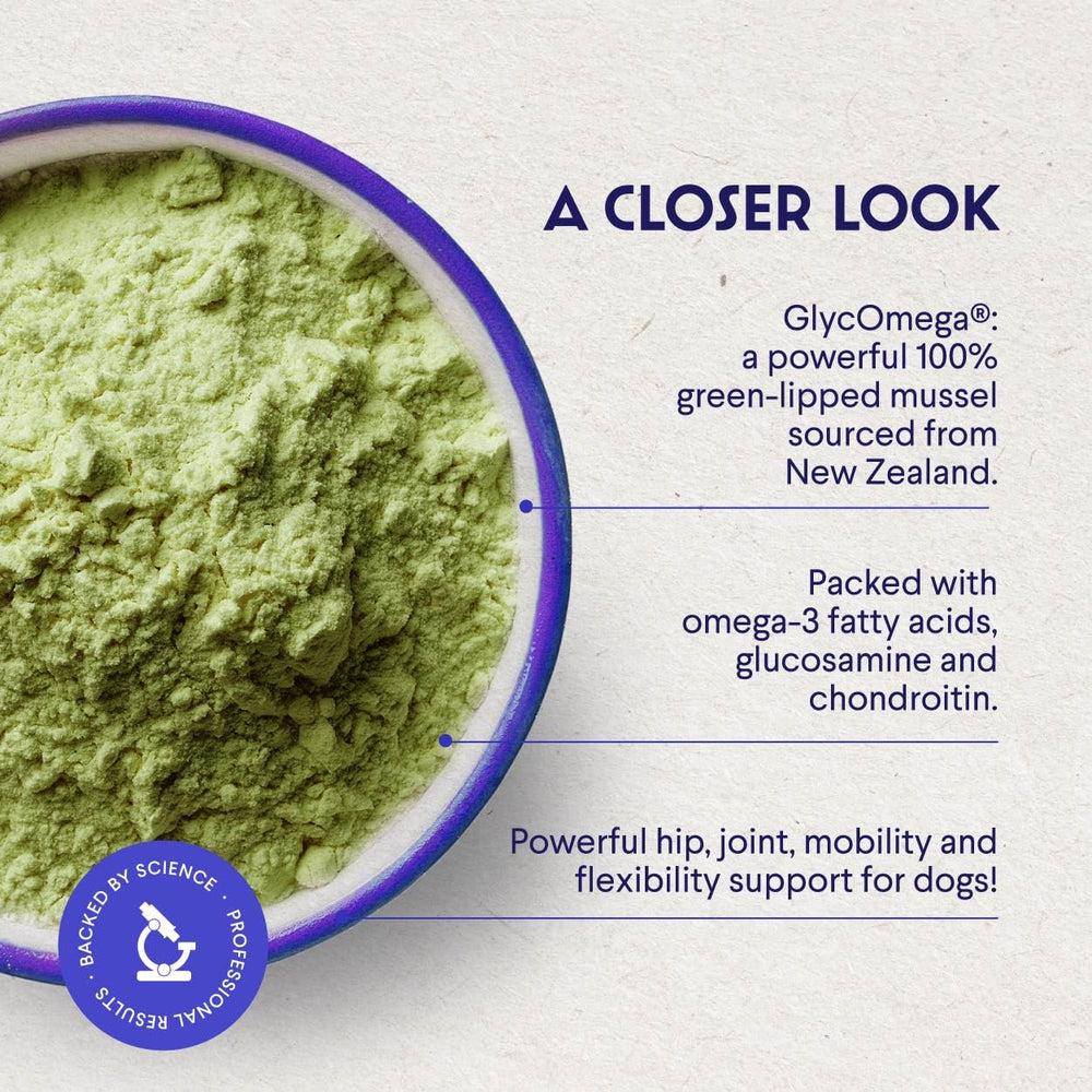 Close-up of the WONDER PAWS mussel powder texture.