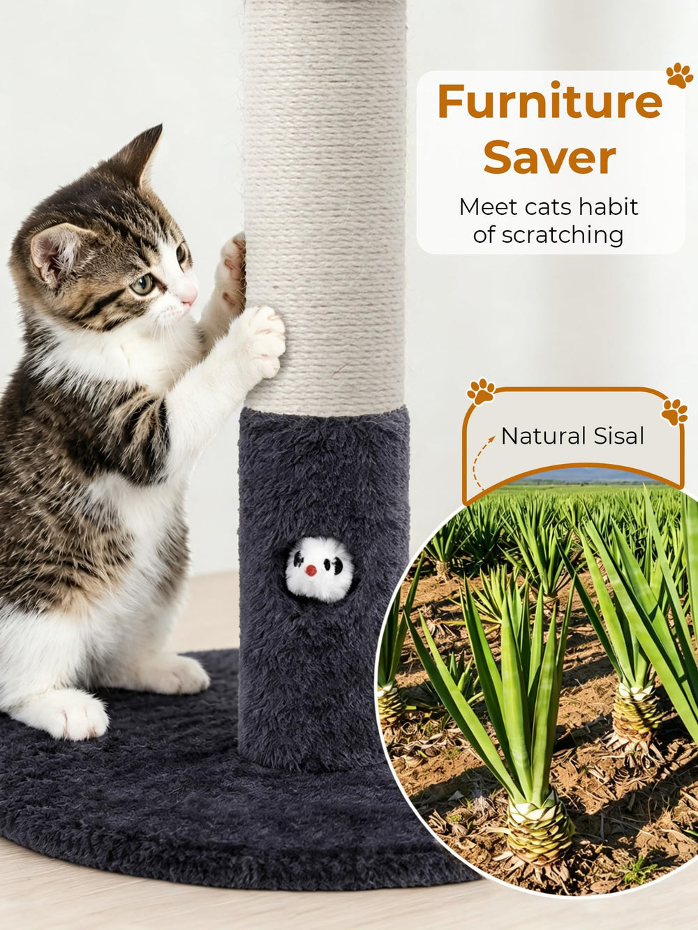 Woochpet cat scratching post showing the mouse-hole design at the bottom.