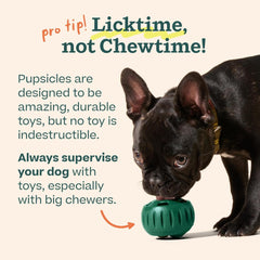 WOOF Power Chewer Pupsicle dog toy viewed at its weighted base.