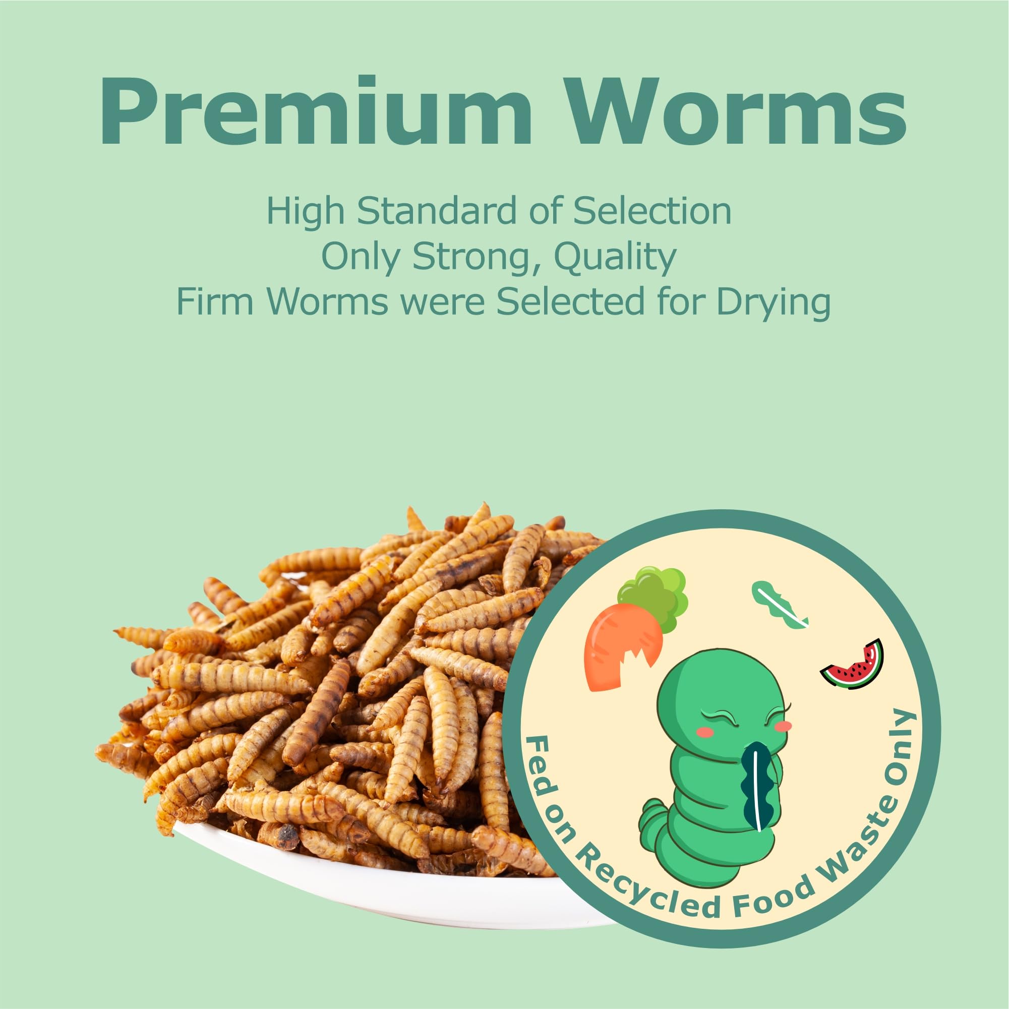 WORMSKING dried black soldier fly larvae shown from an alternate angle.