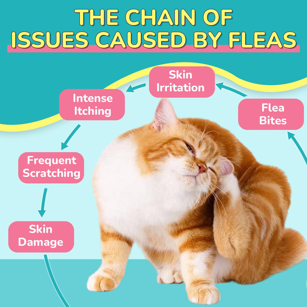 A cat eating a Woyamay cat flea and itch relief chew.