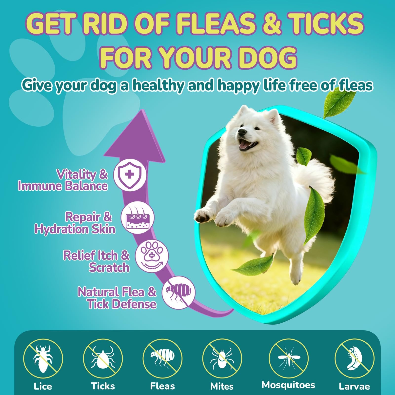 A dog taking a Woyamay flea and tick prevention chew.