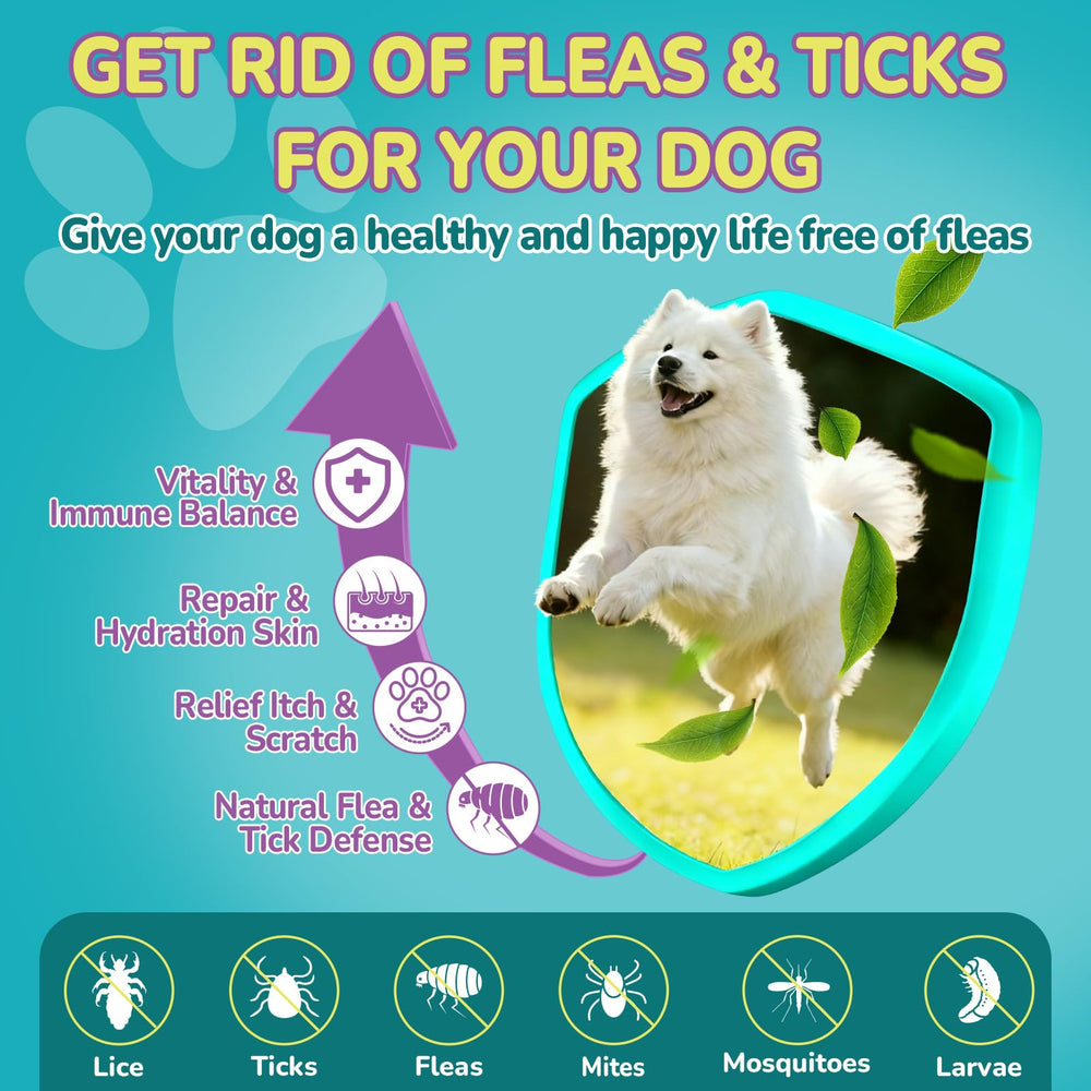 A dog taking a Woyamay flea and tick prevention chew.