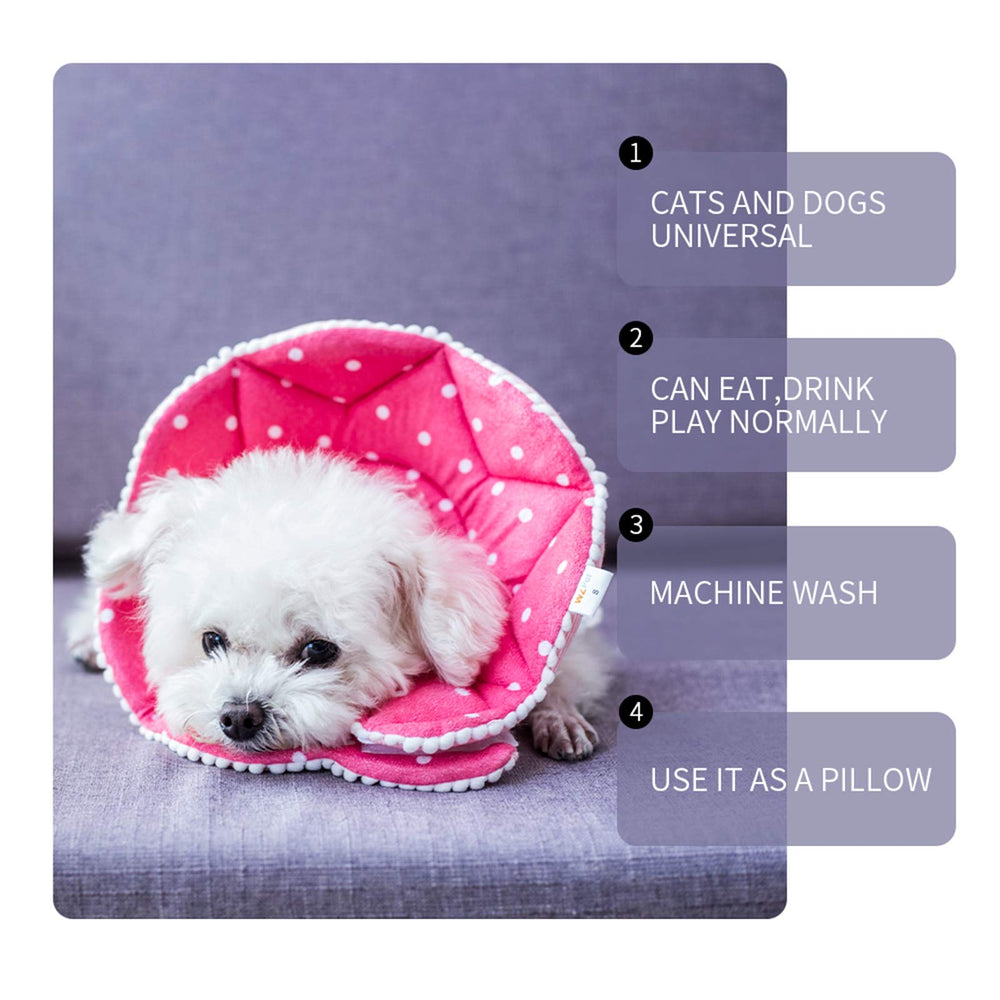 WZ PET recovery cone shown worn by a cat.