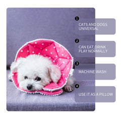 WZ PET recovery cone shown worn by a cat.