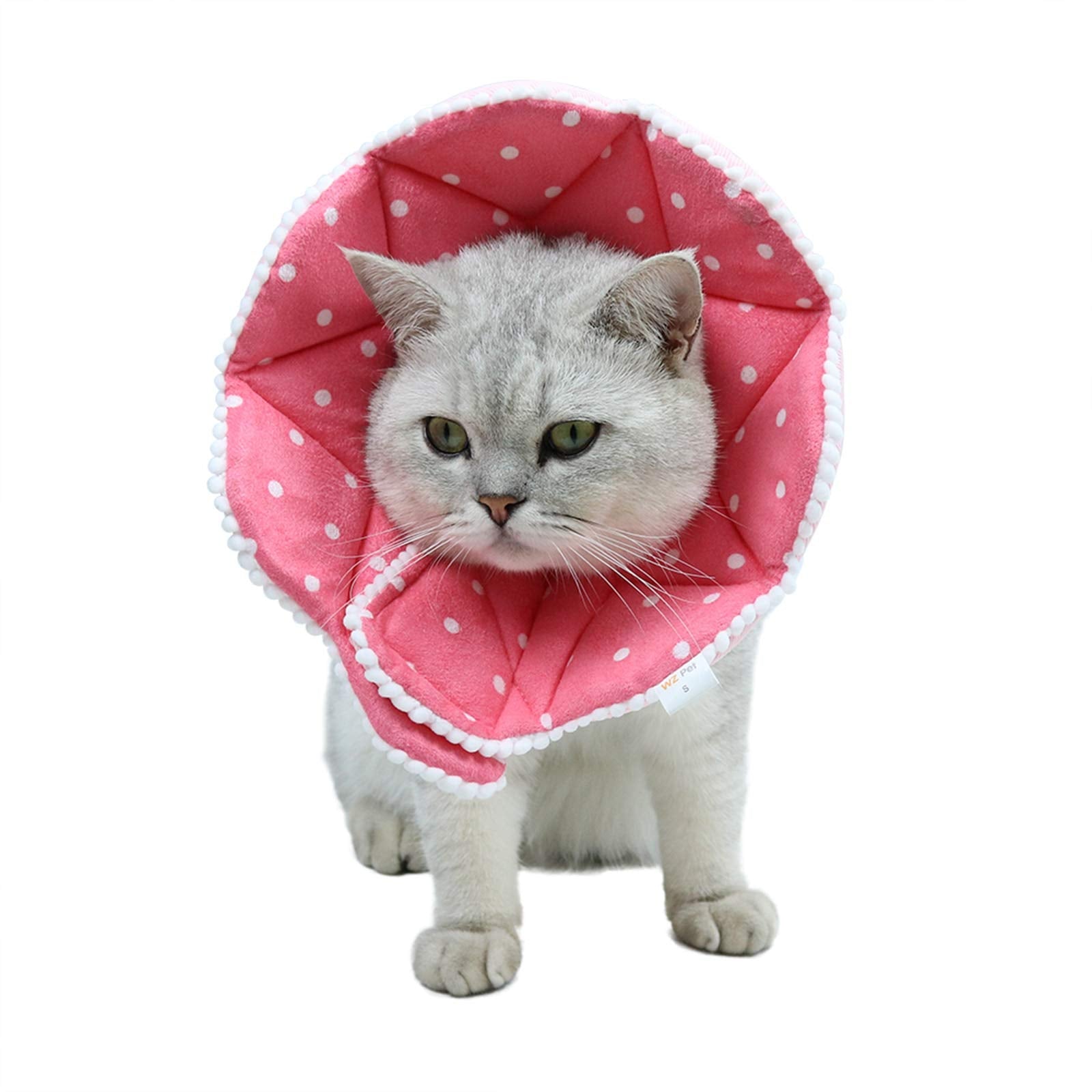WZ PET recovery cone shown folded for storage.