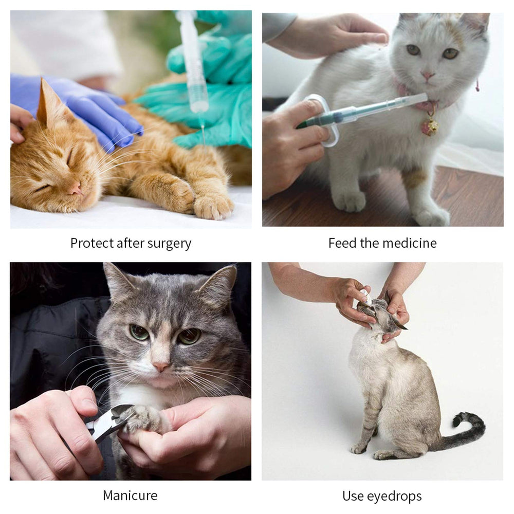 WZ PET recovery cone worn by a cat during recovery.