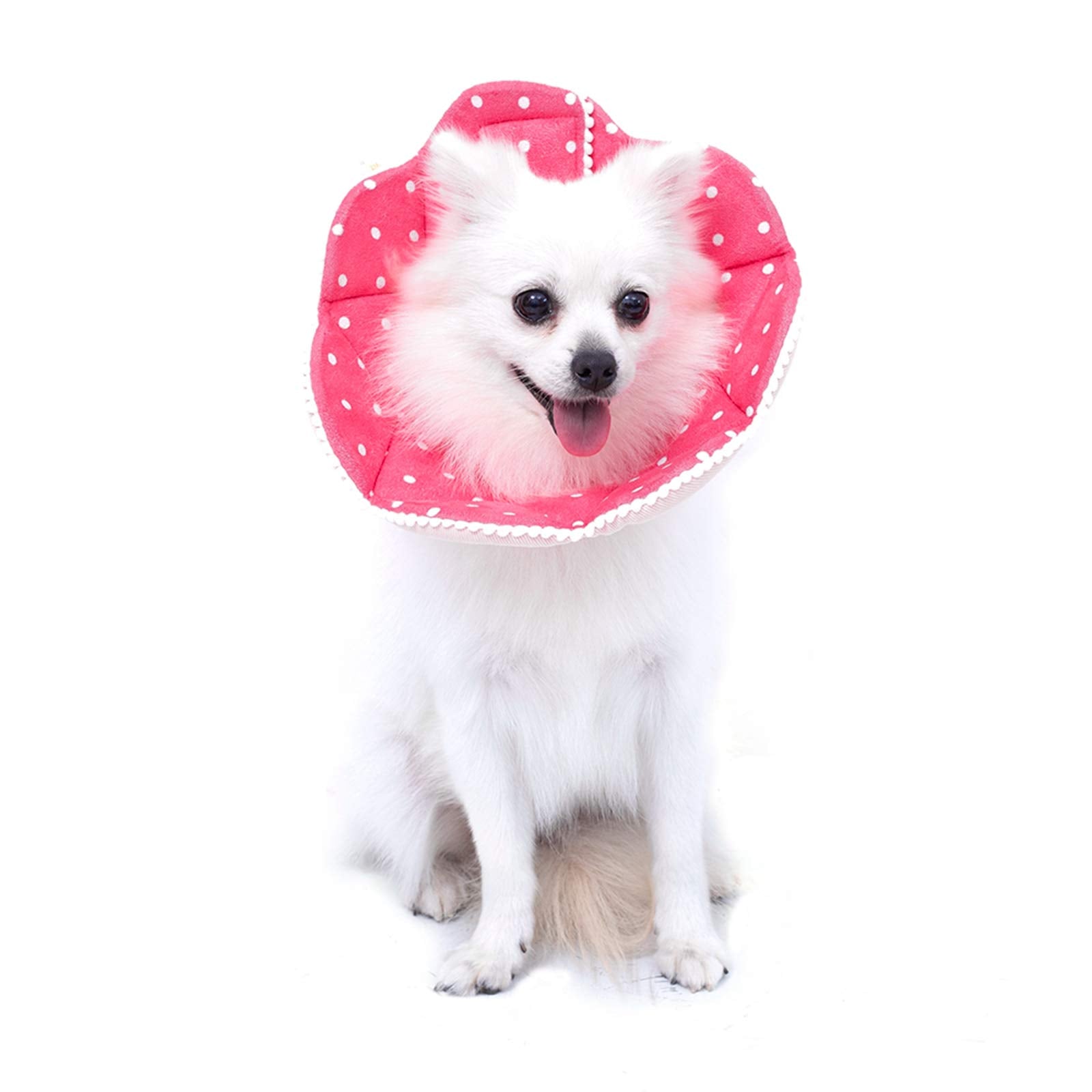 WZ PET recovery cone shown from the front in pink.