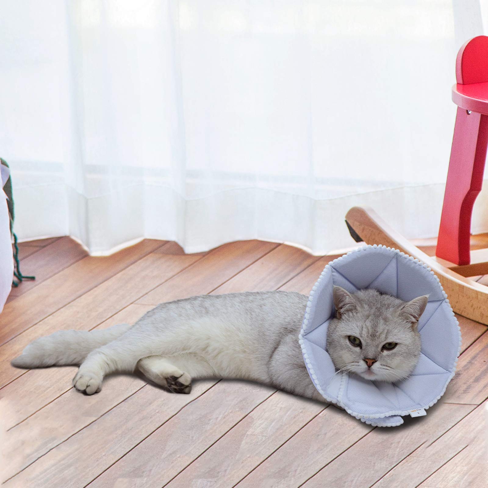 WZ PET Soft Cat Recovery Collar folded into an alternate shape.
