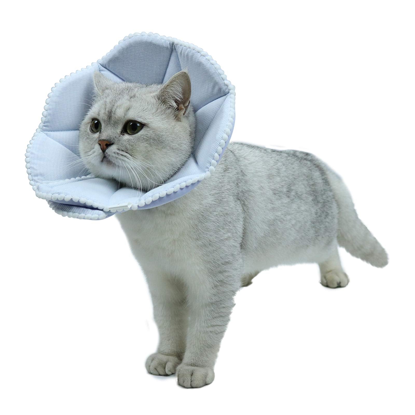 WZ PET Soft Cat Recovery Collar shown from the front in blue.
