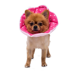 WZ PET soft recovery cone in pink shown from the front.